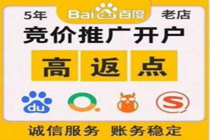 某电商企业SEM竞价代运营全记录：销量翻倍的奥秘